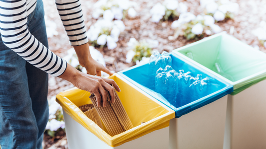 Müll richtig trennen: Die 5 größten Mythen der Mülltrennung
