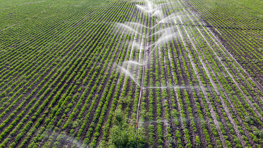 Wasserverbrauch bei Lebensmitteln - Was ist der Wasserfußabdruck?