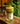Iced Coconut Matcha Latte in einem Glass